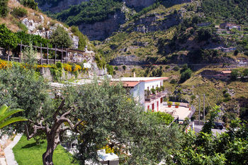 Holidays Fico D'india