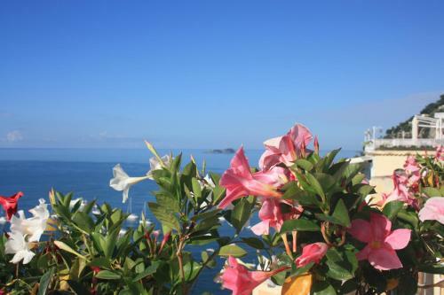 Bed & Breakfast Palazzo Talamo