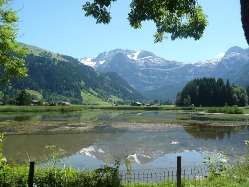 Apartment Am Br�ggli # 2