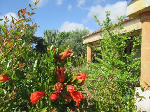 Bed & Breakfast A Giummara