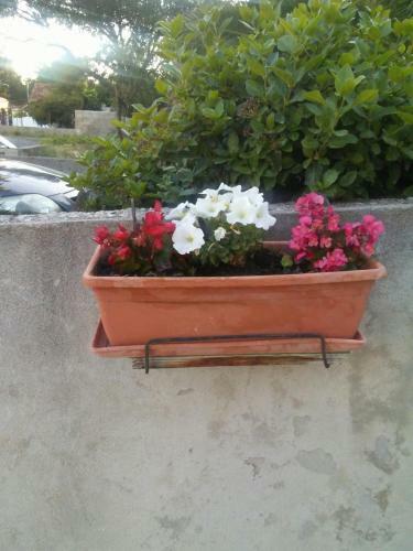 Hostal Guest House Jerica
