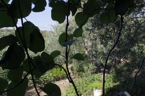 Hostal Apartment Mali Losinj 2496b