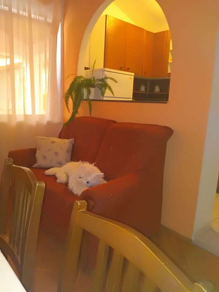 Apartments Ljubica