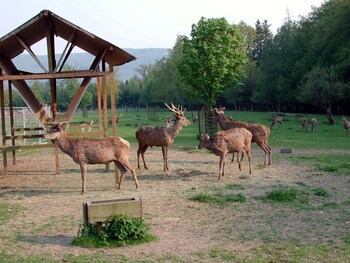 Landhotel Heimathenhof