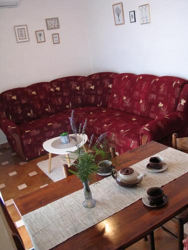 Apartments Celina