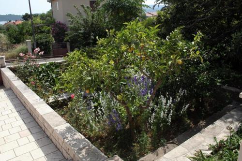 Apartamento Studio Orebic 4564a