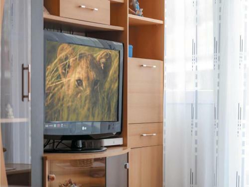 One-bedroom Apartment Omis 07