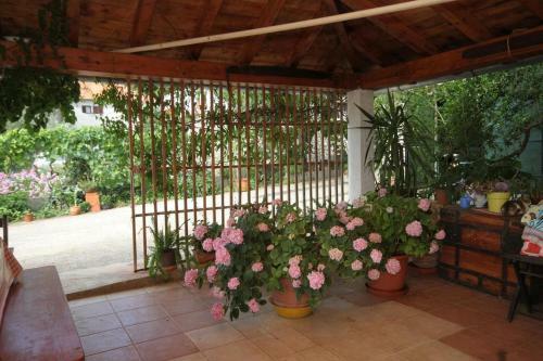 Apartments By The Sea Pasman - 8220