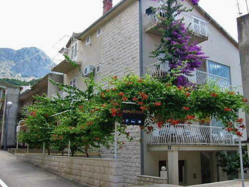 Apartment Podgora 316b