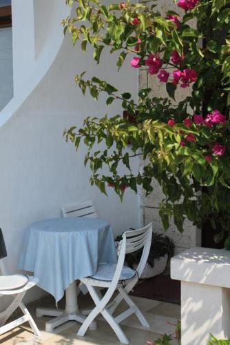 Apartamento Studio Podgora 6713a