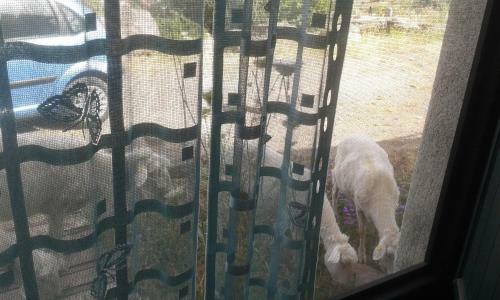 Agroturismo Su Ponti Biancu