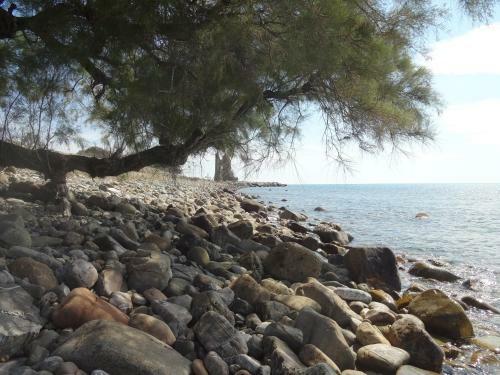 Bed & Breakfast Il Vecchio Pescatore