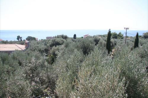 Apartamento Sea Sun