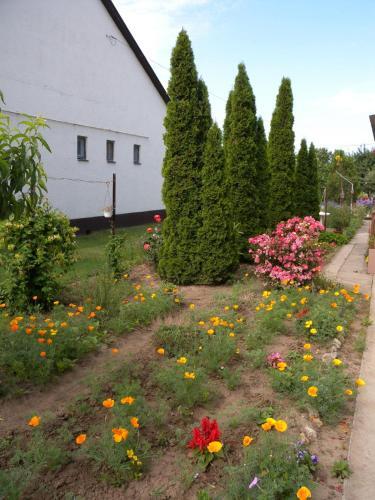 Apartment In Siofok/balaton 19723