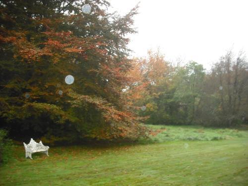 Bed & Breakfast Letham House