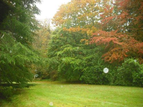 Bed & Breakfast Letham House