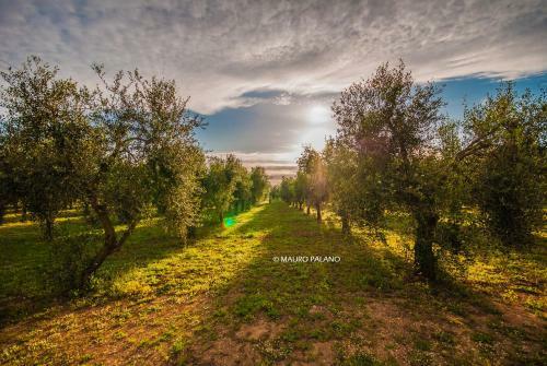 Agroturismo Tenuta Kyrios