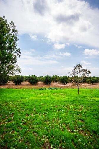 Agroturismo Tenuta Kyrios