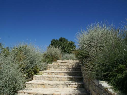 Apartamento Podere Vallerona Silvia
