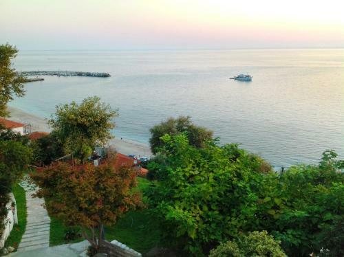 Hostal Opalio