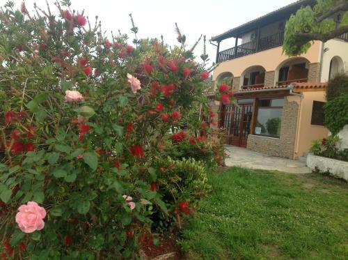 Hostal Opalio