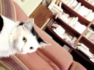 Hotel Id�al S�jour