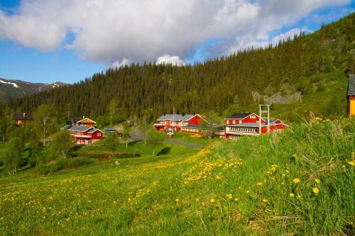 Hotel Gr�nolen Fjellgard