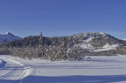 Hotel Gr�nolen Fjellgard