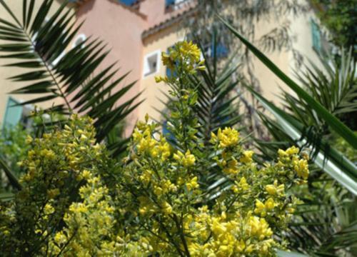 Bed & Breakfast Coste D'or