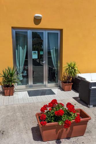 Hotel Albergo Luisss