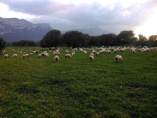 Agroturismo Vistamare