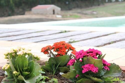 Agroturismo Casas De Mir�briga