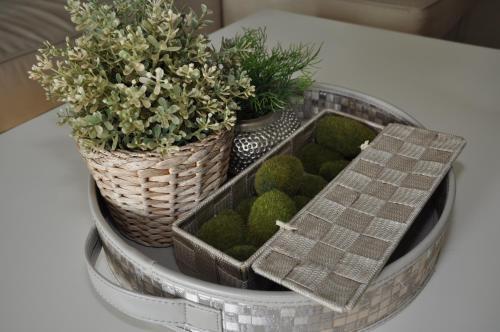 Apartamento Casa La Florista