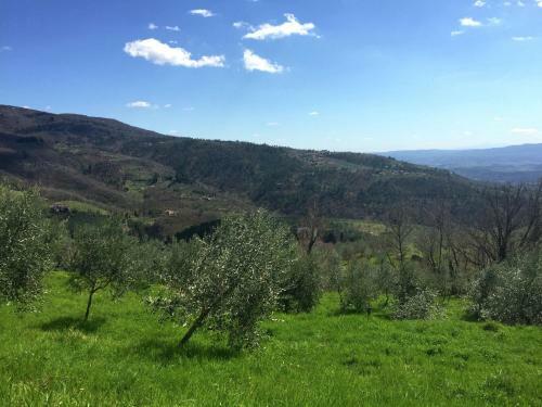 Apartamento Podere Enrica Lavanda