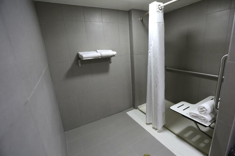 Hotel Holiday Inn Chicago O'hare Area