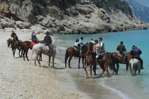 Bed & Breakfast Hotel Dello Gnu