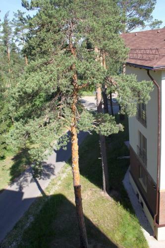 Apartments In Ryabeevo