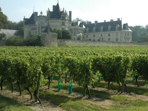 Maison De Vacances - Le Vieil Baug�