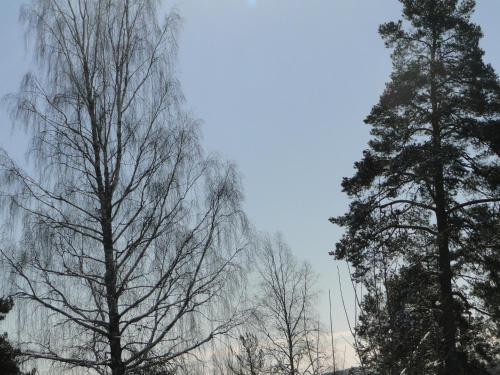 Albergue Sunne Hembygdsg�rd B&B