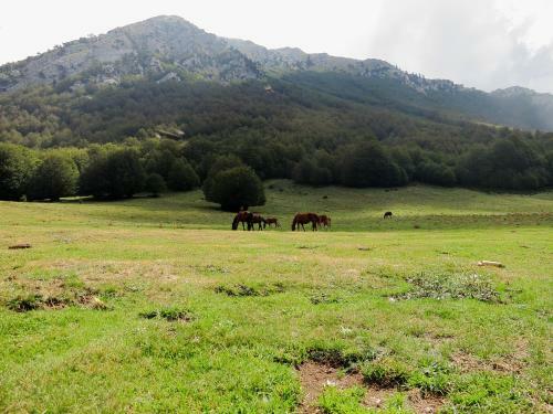 B&B Le Ginestre