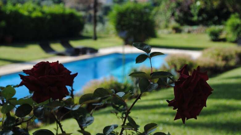 Bed & Breakfast Villa Antoline