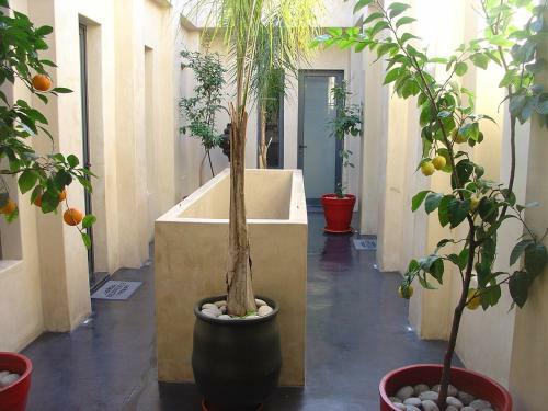 Riad La Villa & Spa