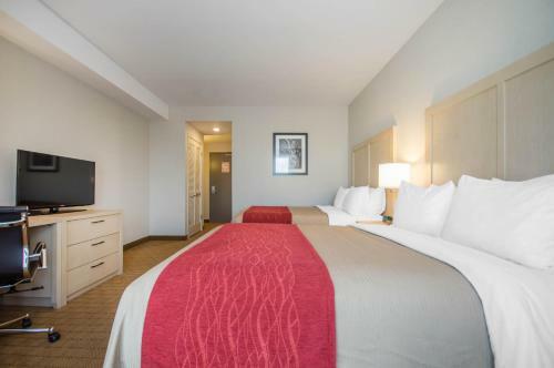 Hotel Comfort Inn & Suites