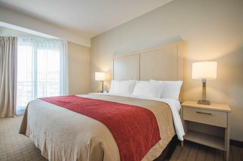 Hotel Comfort Inn & Suites