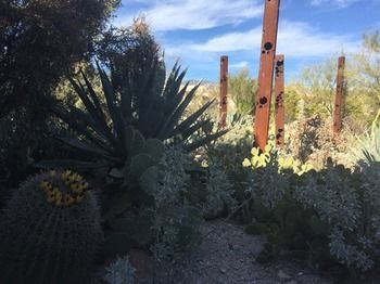Hotel Hacienda Del Sol Ranch Resort