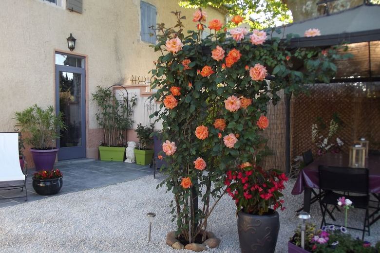 Bed & Breakfast Mas De La Coucourde