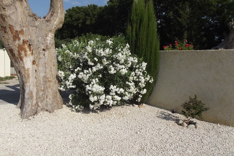 Bed & Breakfast Mas De La Coucourde