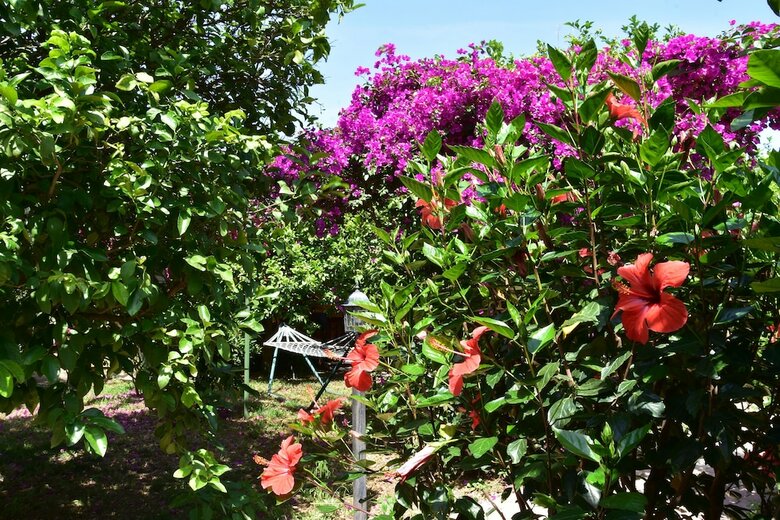 Lemon Garden Lodge