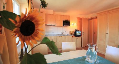 Aparthotel Residenz Theresa