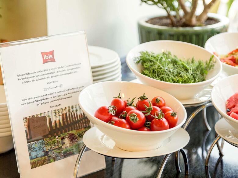 Hotel Ibis Kayseri